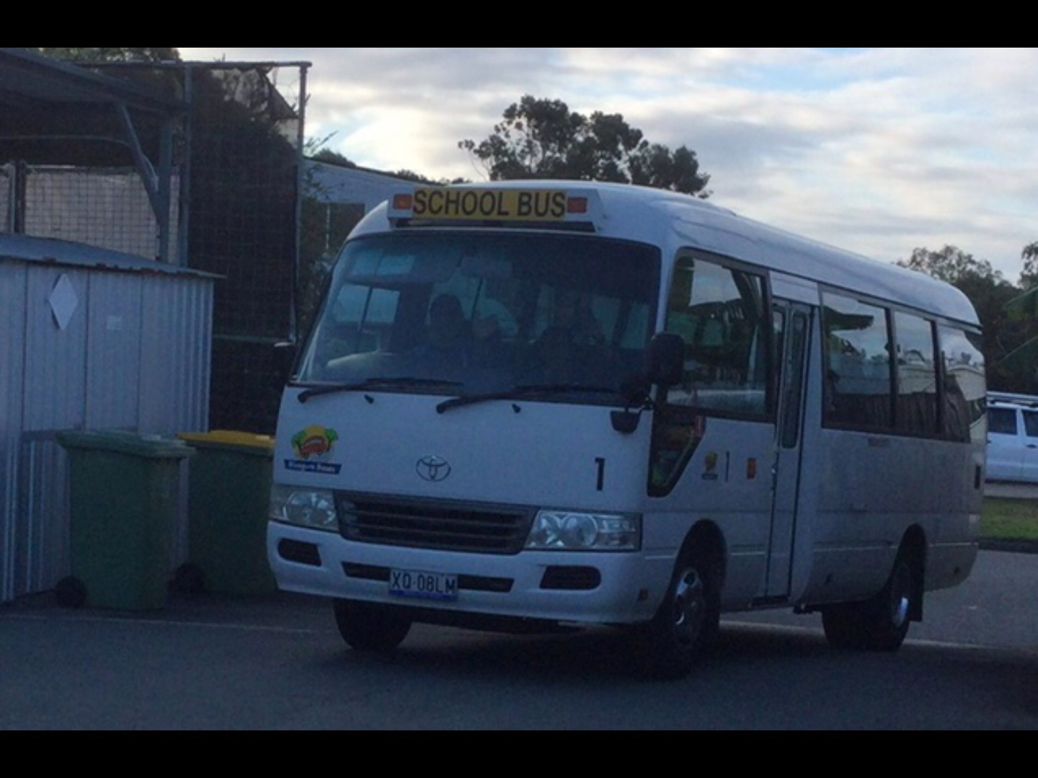 Bluegum Bus 1