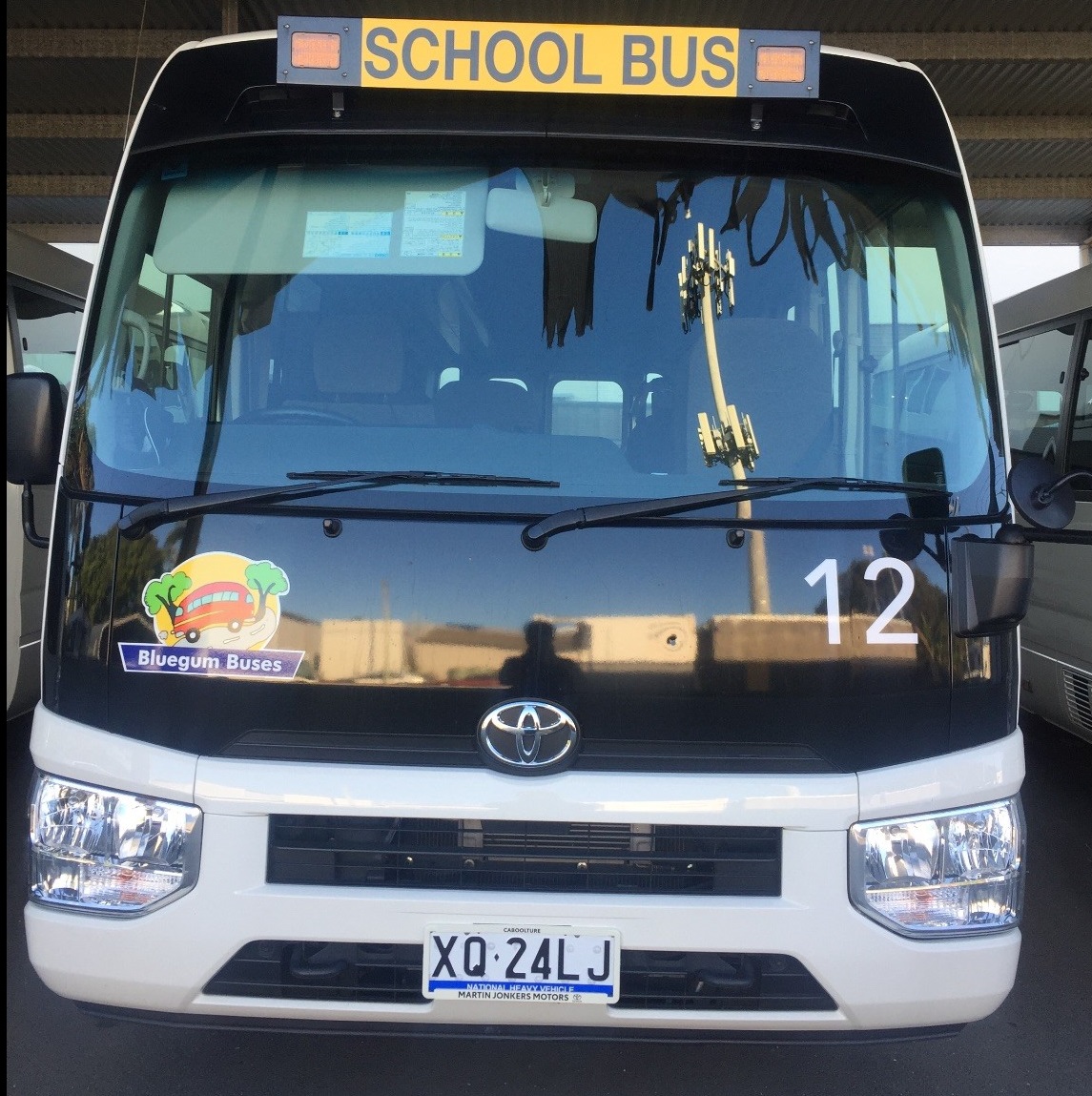 Bluegum Bus 12