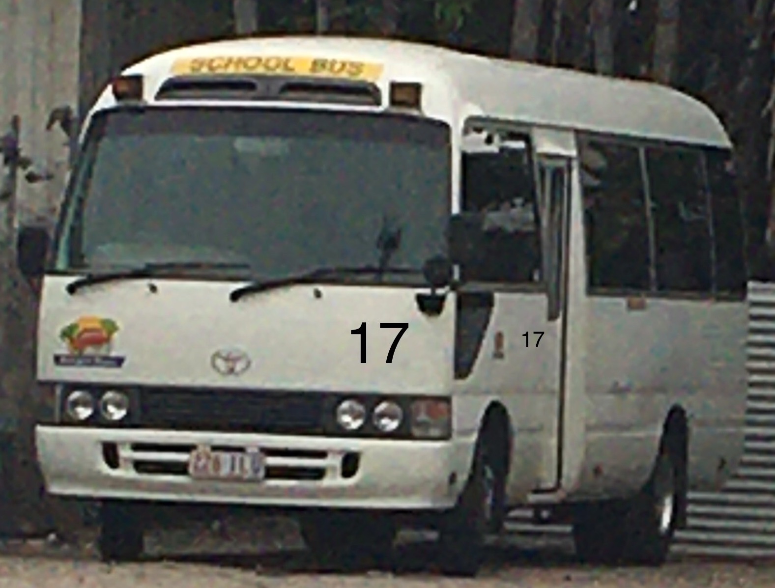 Bluegum Bus 17