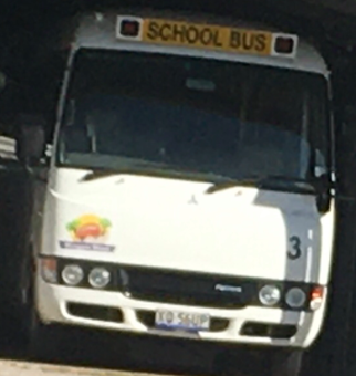 Bluegum Bus 3