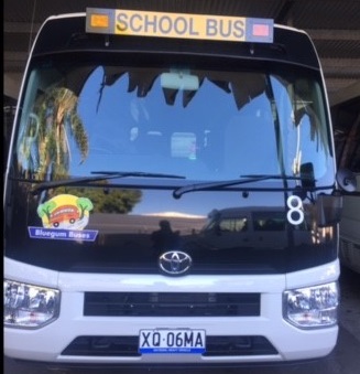 Bluegum Bus 8